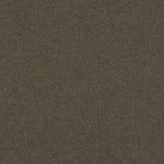 cover color: Shitake