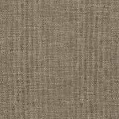 cover color: Brindle