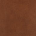 cover color: Russet