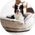 More information on Pet Beds