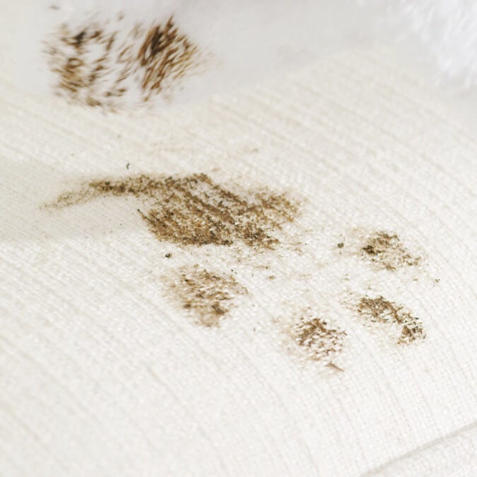 iClean™ fabric repelling dirty paw prints