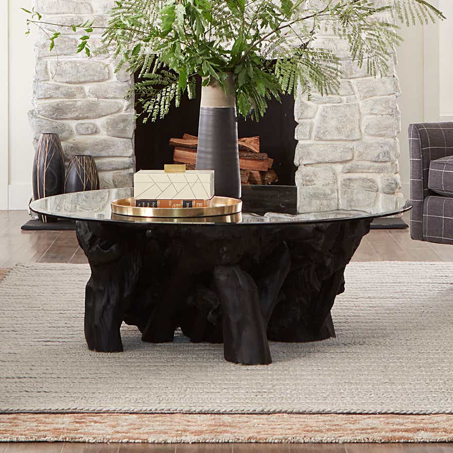 Hidden Treasures Root Ball Cocktail Table